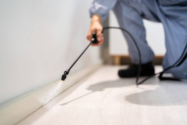 Certified termite inspector examining foundation in Laguna Heights